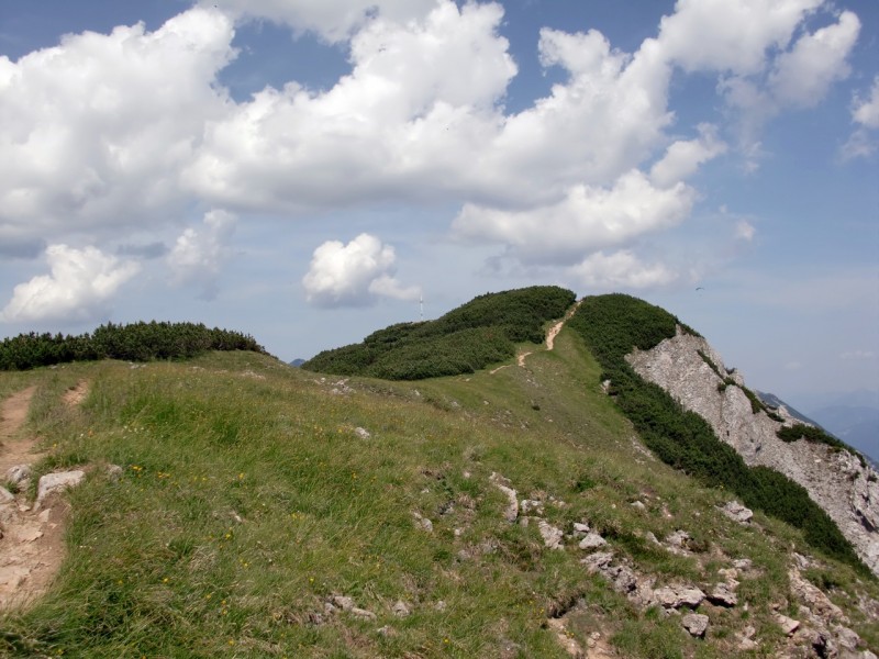 B�renkopf