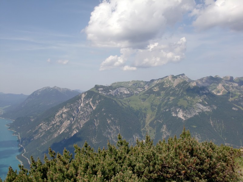 B�renkopf
