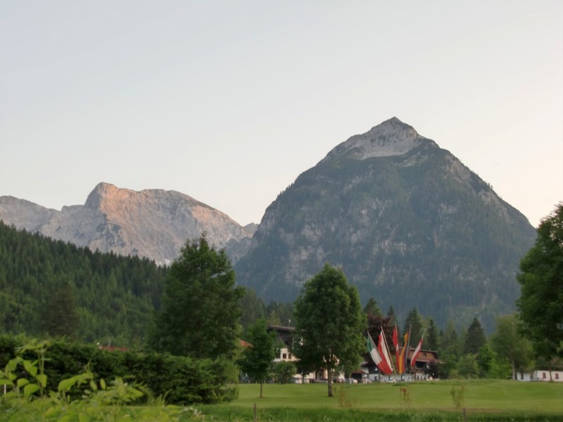 B�renkopf