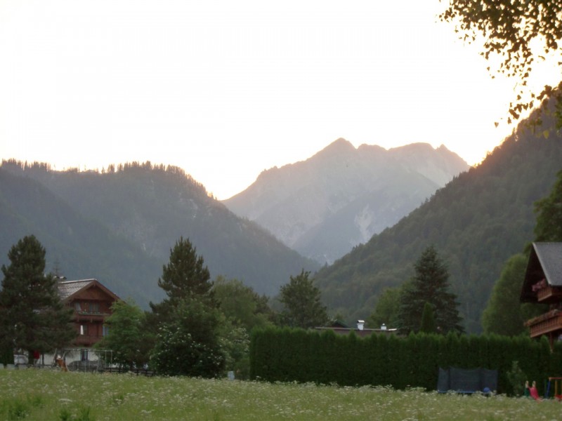 B�renkopf