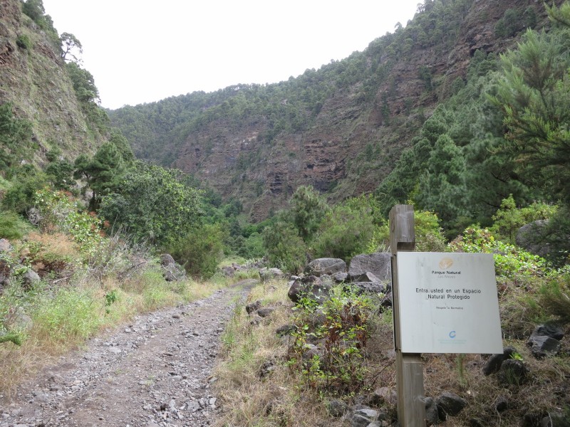 Barranco de la Madera