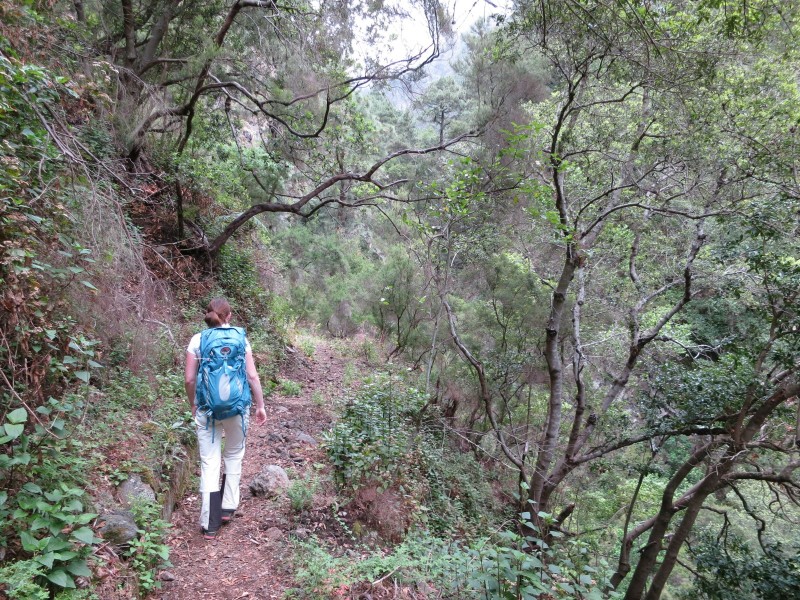 Barranco de la Madera