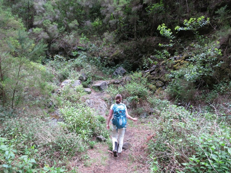 Barranco de la Madera