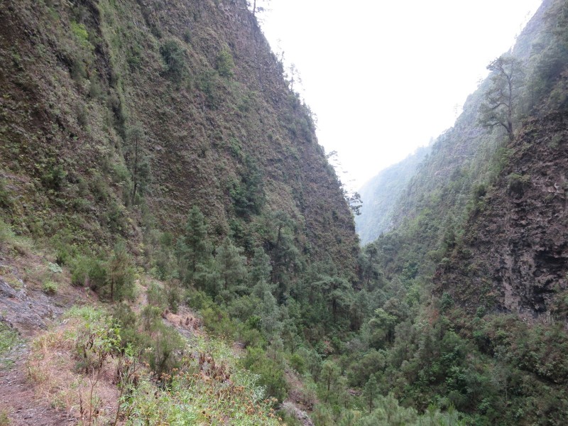 Barranco de la Madera
