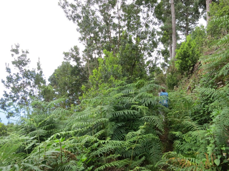 Barranco de la Madera