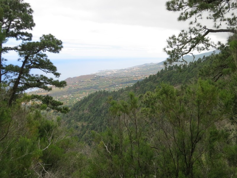 Barranco de la Madera