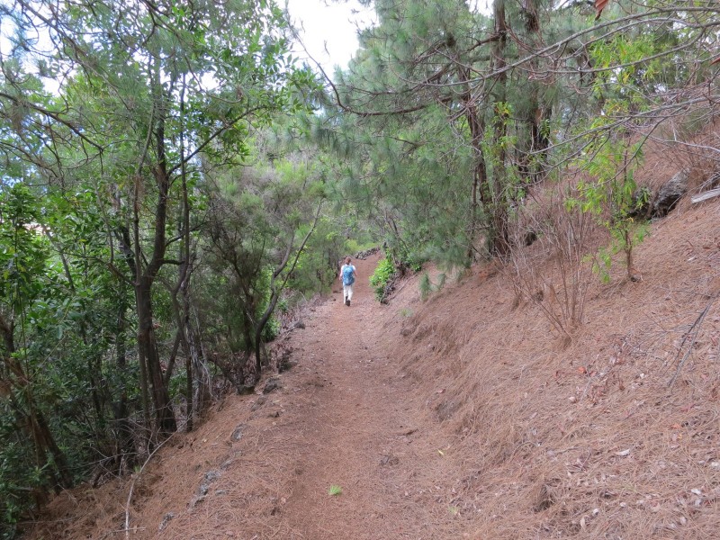 Barranco de la Madera