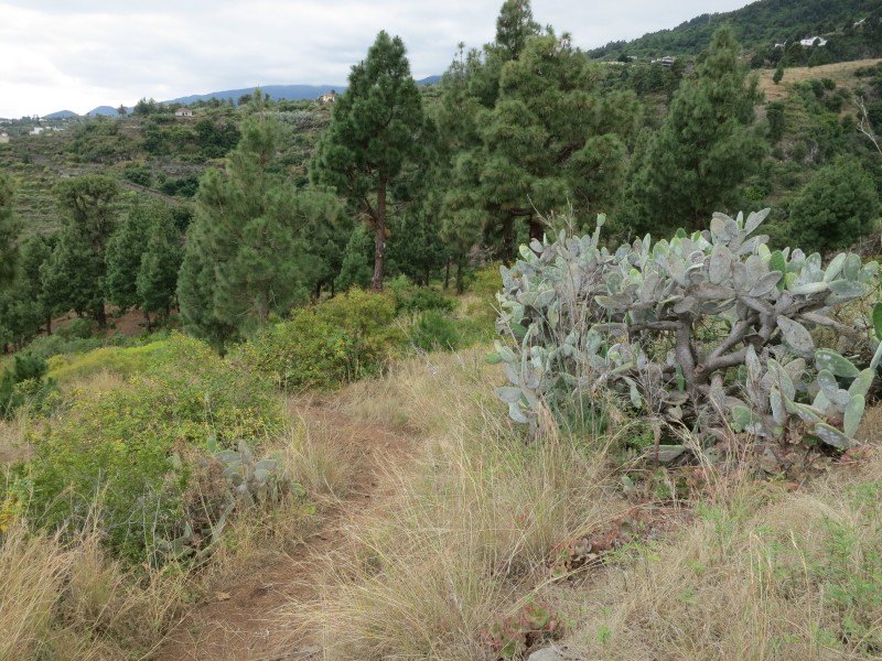 Barranco de la Madera