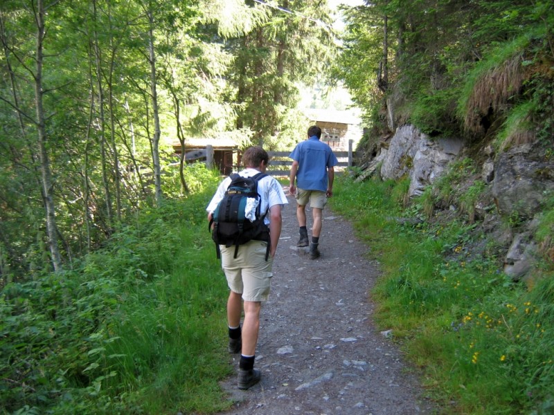 Hinterbichl - Bergerseeh�tte - Berger Kogel - Berger Alm - Hinterbichl