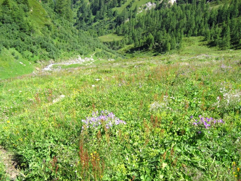 Hinterbichl - Bergerseeh�tte - Berger Kogel - Berger Alm - Hinterbichl