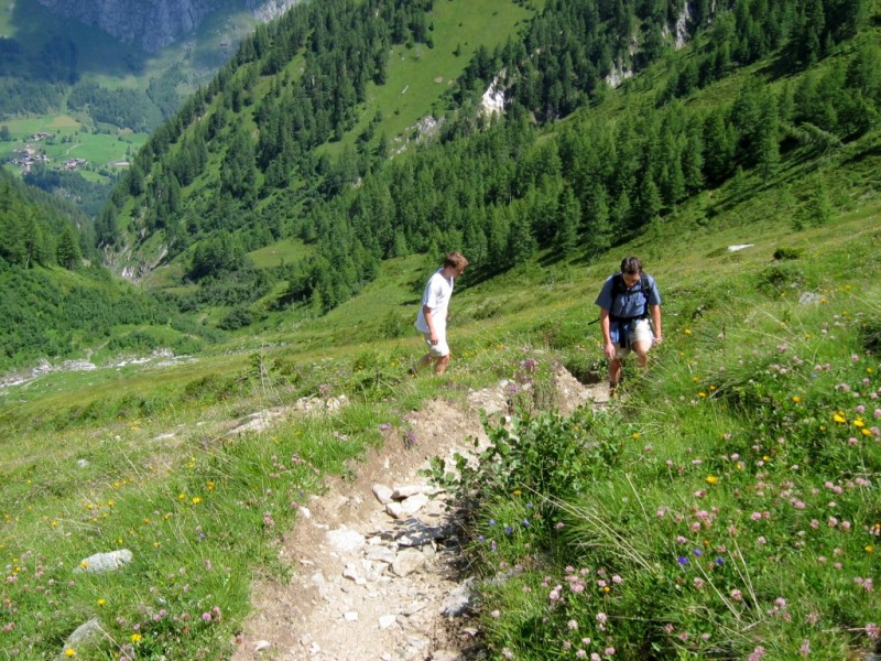 Hinterbichl - Bergerseeh�tte - Berger Kogel - Berger Alm - Hinterbichl