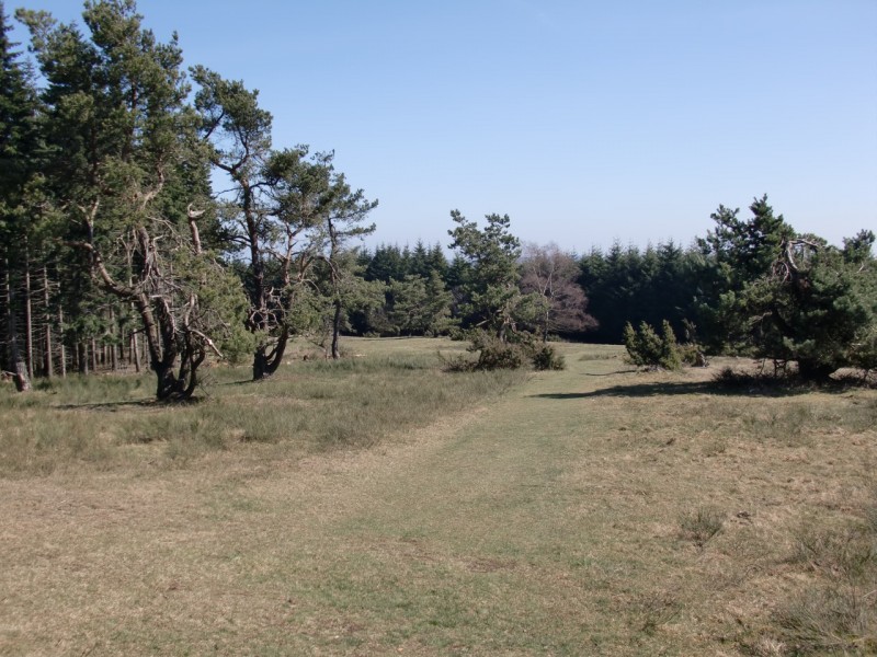 Traumpfad Bergheidenweg