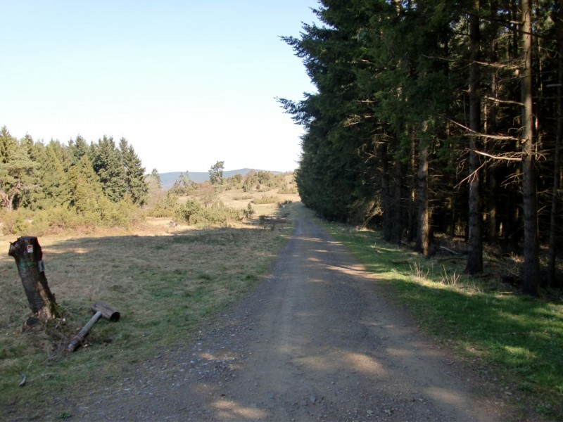Traumpfad Bergheidenweg
