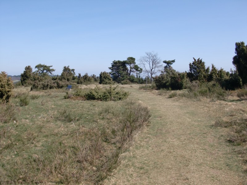 Traumpfad Bergheidenweg