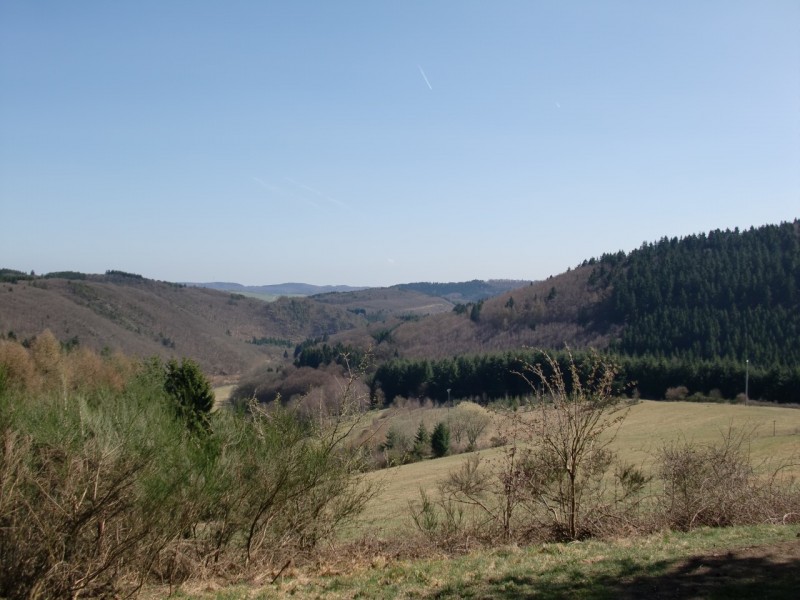 Traumpfad Bergheidenweg