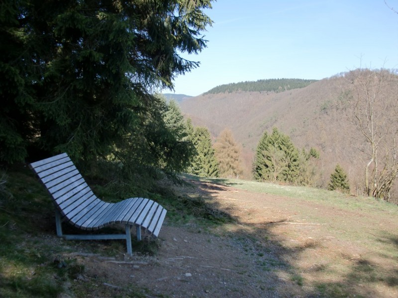 Traumpfad Bergheidenweg