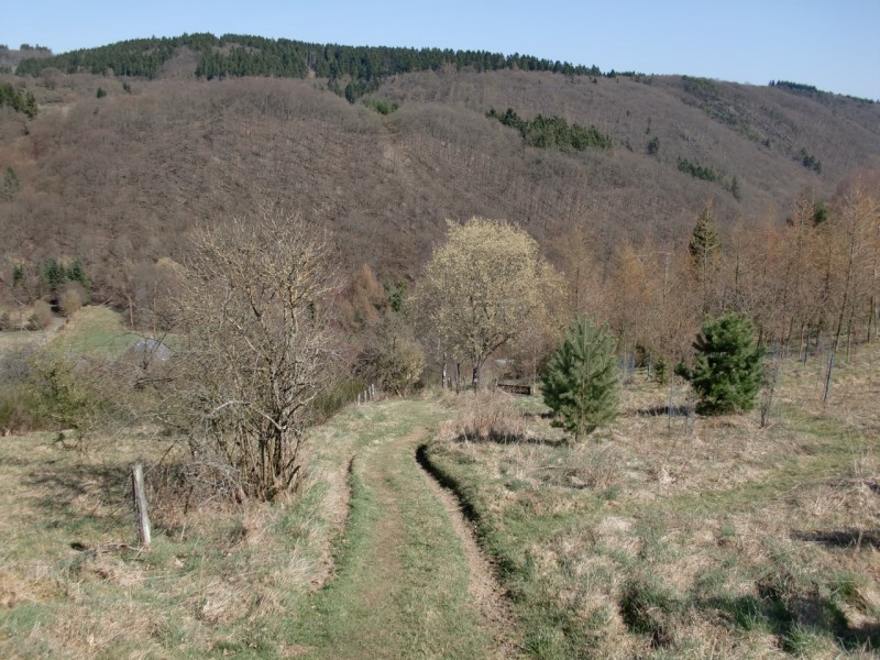Traumpfad Bergheidenweg