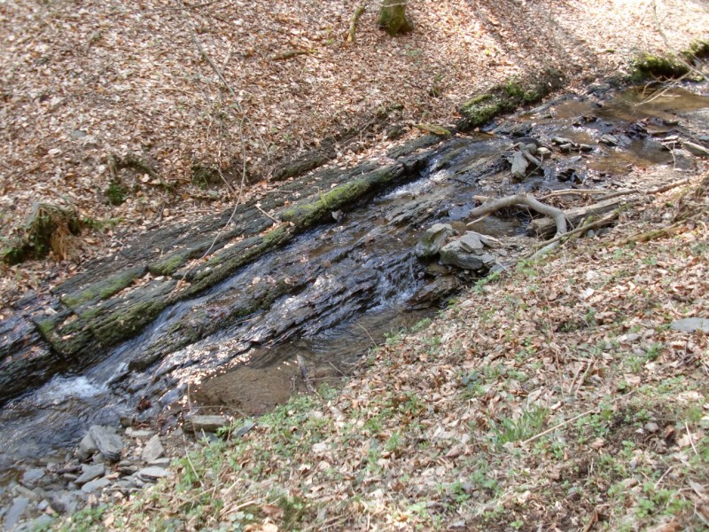 Traumpfad Bergheidenweg