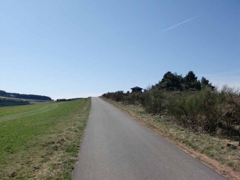 Traumpfad Bergheidenweg