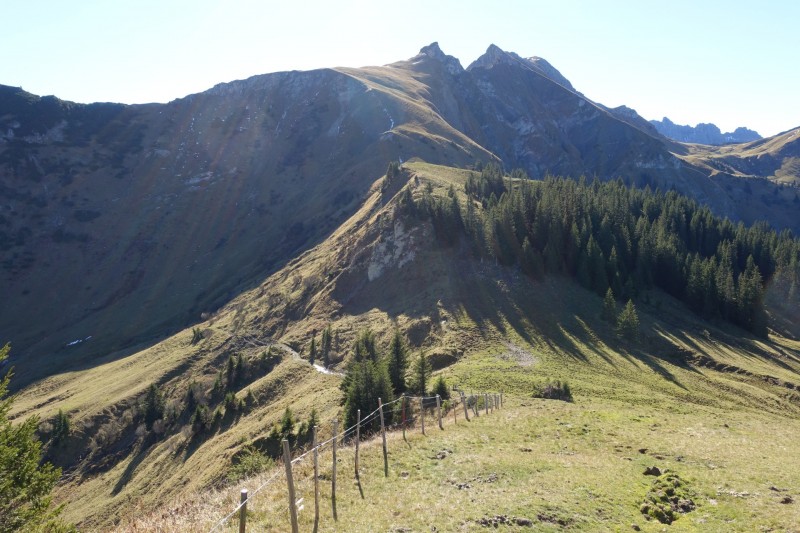 Lochgehrenkopf - Lochgehrenspitze - Sulzspitze - Strindschartenkopf - Litnisschrofen - Krinnenspitze - Nesselwngle