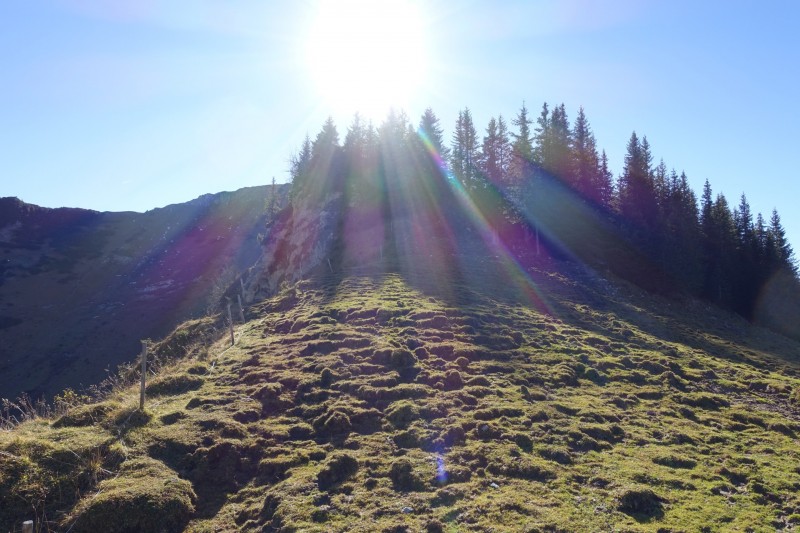 Lochgehrenkopf - Lochgehrenspitze - Sulzspitze - Strindschartenkopf - Litnisschrofen - Krinnenspitze - Nesselwngle