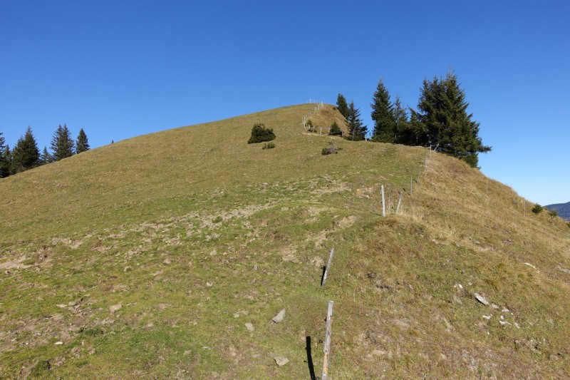 Lochgehrenkopf - Lochgehrenspitze - Sulzspitze - Strindschartenkopf - Litnisschrofen - Krinnenspitze - Nesselwngle