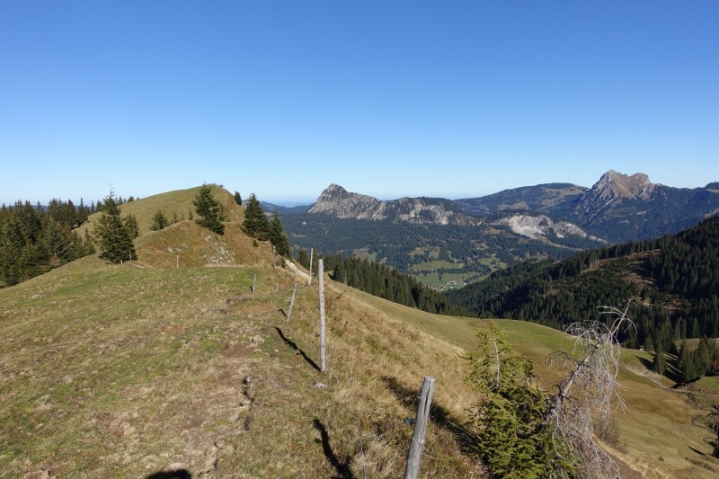 Lochgehrenkopf - Lochgehrenspitze - Sulzspitze - Strindschartenkopf - Litnisschrofen - Krinnenspitze - Nesselwngle
