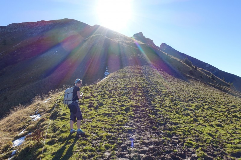 Lochgehrenkopf - Lochgehrenspitze - Sulzspitze - Strindschartenkopf - Litnisschrofen - Krinnenspitze - Nesselwngle
