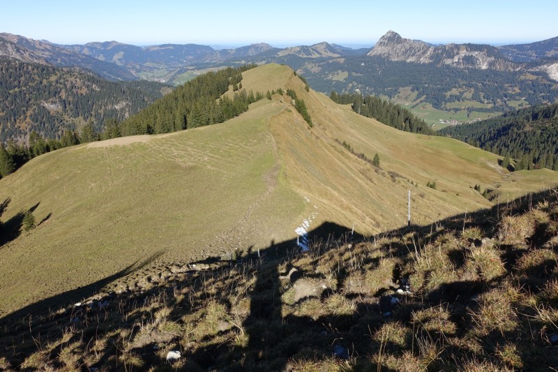 Lochgehrenkopf - Lochgehrenspitze - Sulzspitze - Strindschartenkopf - Litnisschrofen - Krinnenspitze - Nesselwngle