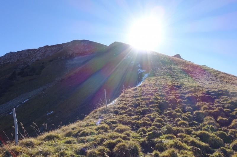 Lochgehrenkopf - Lochgehrenspitze - Sulzspitze - Strindschartenkopf - Litnisschrofen - Krinnenspitze - Nesselwngle
