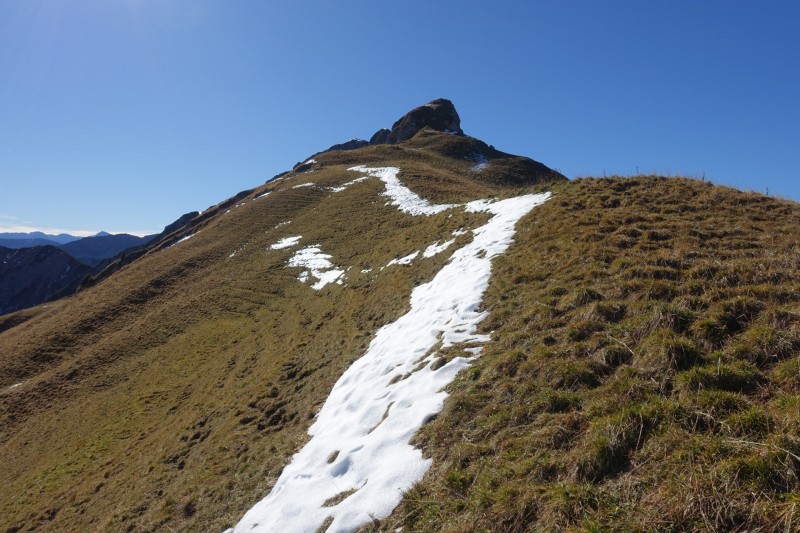 Lochgehrenkopf - Lochgehrenspitze - Sulzspitze - Strindschartenkopf - Litnisschrofen - Krinnenspitze - Nesselwngle