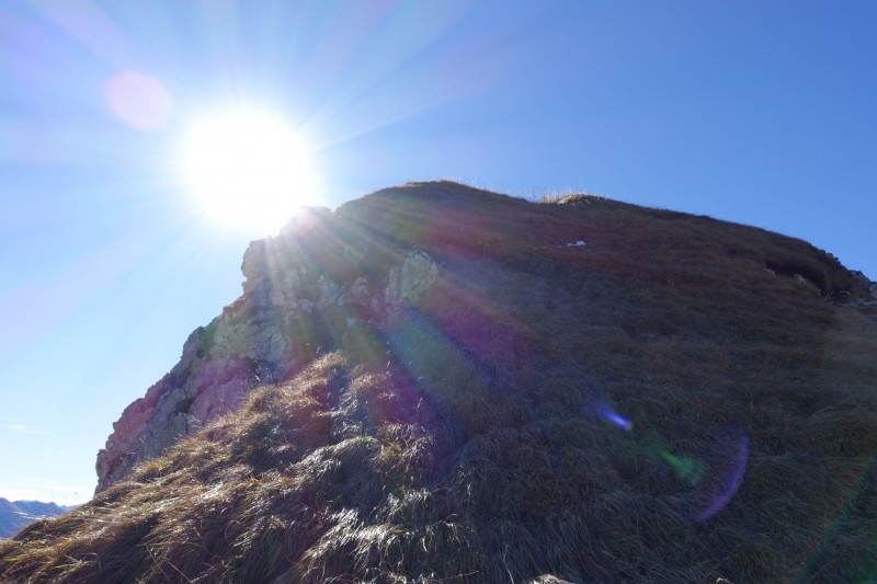 Lochgehrenkopf - Lochgehrenspitze - Sulzspitze - Strindschartenkopf - Litnisschrofen - Krinnenspitze - Nesselwngle