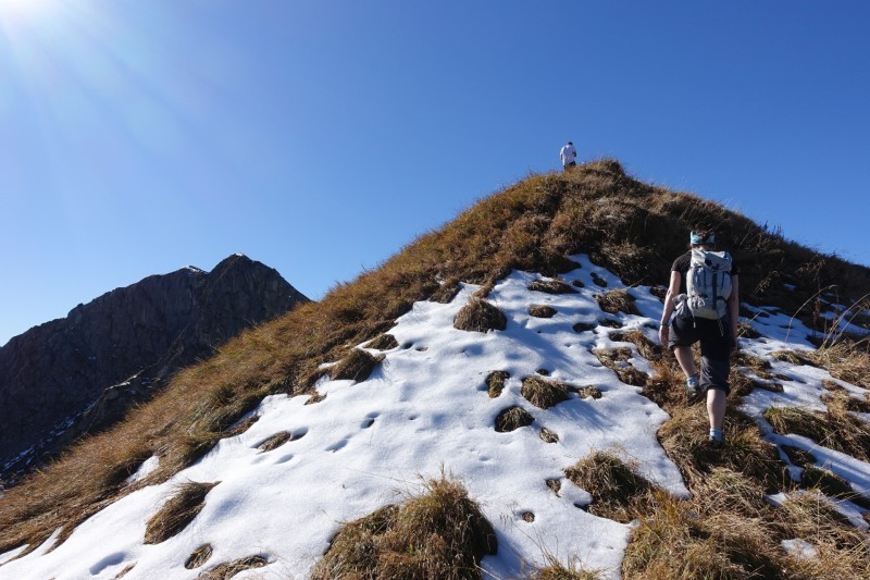 Lochgehrenkopf - Lochgehrenspitze - Sulzspitze - Strindschartenkopf - Litnisschrofen - Krinnenspitze - Nesselwngle
