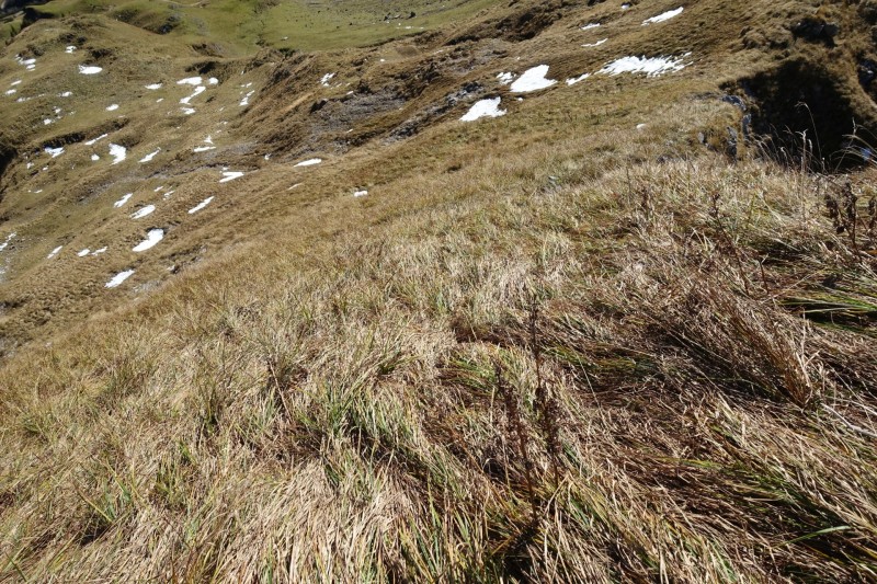 Lochgehrenkopf - Lochgehrenspitze - Sulzspitze - Strindschartenkopf - Litnisschrofen - Krinnenspitze - Nesselwngle