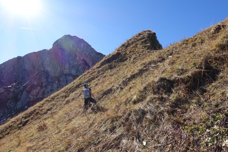 Lochgehrenkopf - Lochgehrenspitze - Sulzspitze - Strindschartenkopf - Litnisschrofen - Krinnenspitze - Nesselwngle