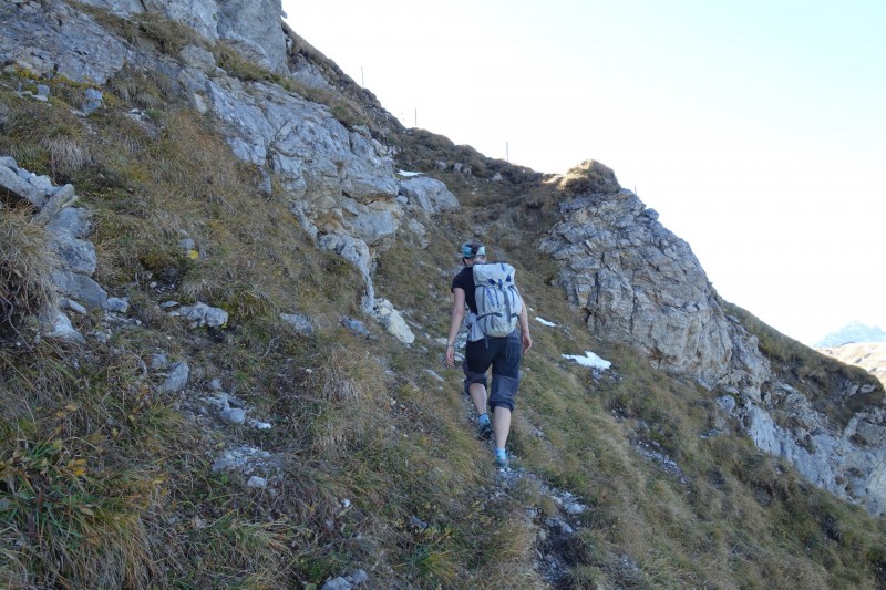 Lochgehrenkopf - Lochgehrenspitze - Sulzspitze - Strindschartenkopf - Litnisschrofen - Krinnenspitze - Nesselwngle