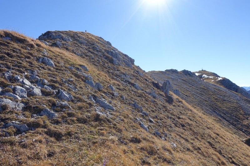 Lochgehrenkopf - Lochgehrenspitze - Sulzspitze - Strindschartenkopf - Litnisschrofen - Krinnenspitze - Nesselwngle