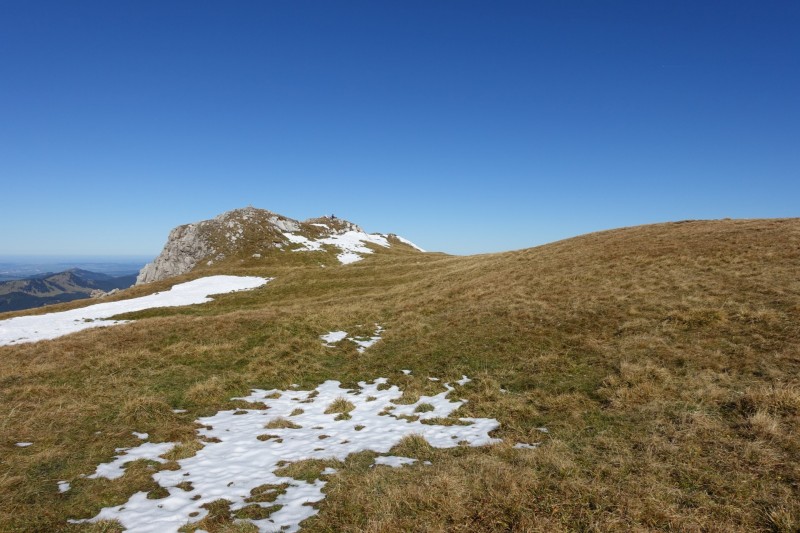Lochgehrenkopf - Lochgehrenspitze - Sulzspitze - Strindschartenkopf - Litnisschrofen - Krinnenspitze - Nesselwngle