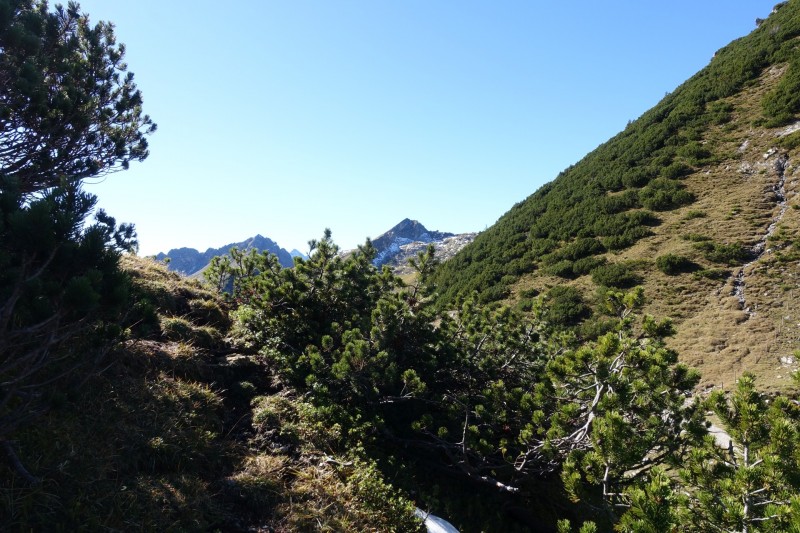 Lochgehrenkopf - Lochgehrenspitze - Sulzspitze - Strindschartenkopf - Litnisschrofen - Krinnenspitze - Nesselwngle