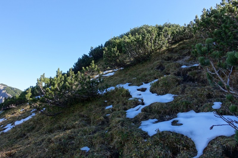 Lochgehrenkopf - Lochgehrenspitze - Sulzspitze - Strindschartenkopf - Litnisschrofen - Krinnenspitze - Nesselwngle