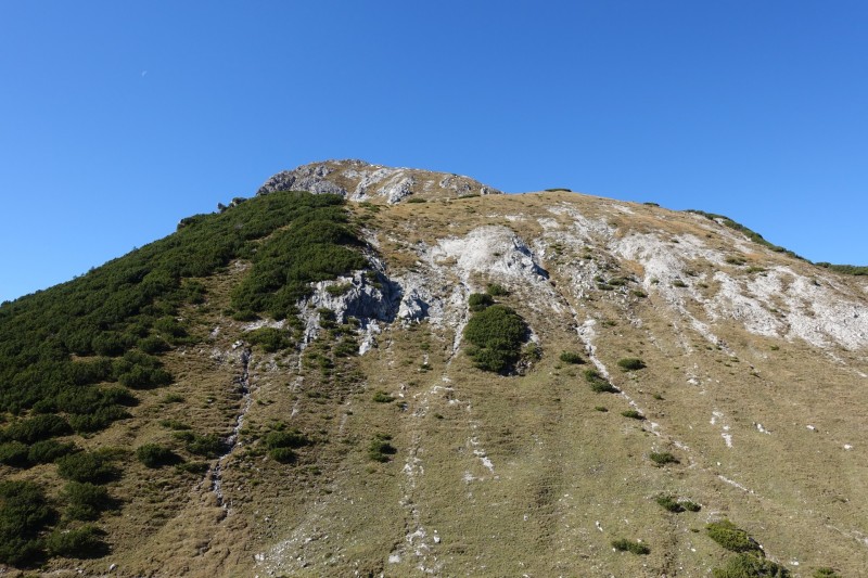 Lochgehrenkopf - Lochgehrenspitze - Sulzspitze - Strindschartenkopf - Litnisschrofen - Krinnenspitze - Nesselwngle
