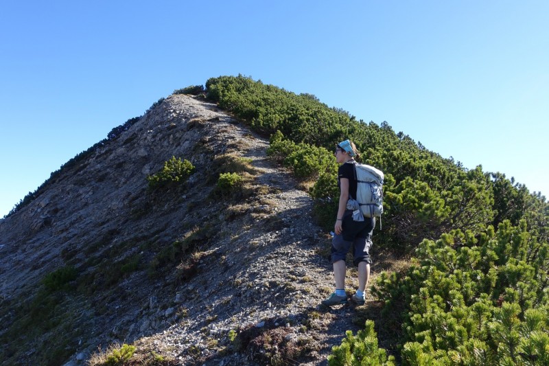 Lochgehrenkopf - Lochgehrenspitze - Sulzspitze - Strindschartenkopf - Litnisschrofen - Krinnenspitze - Nesselwngle