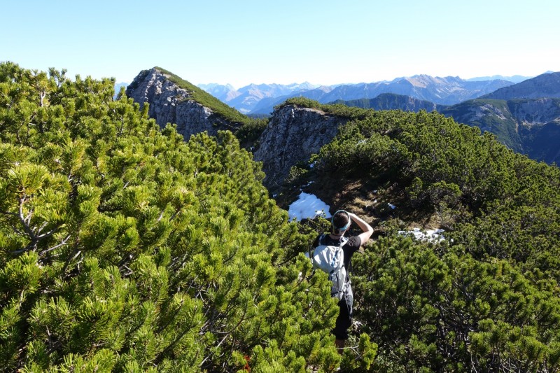 Lochgehrenkopf - Lochgehrenspitze - Sulzspitze - Strindschartenkopf - Litnisschrofen - Krinnenspitze - Nesselwngle