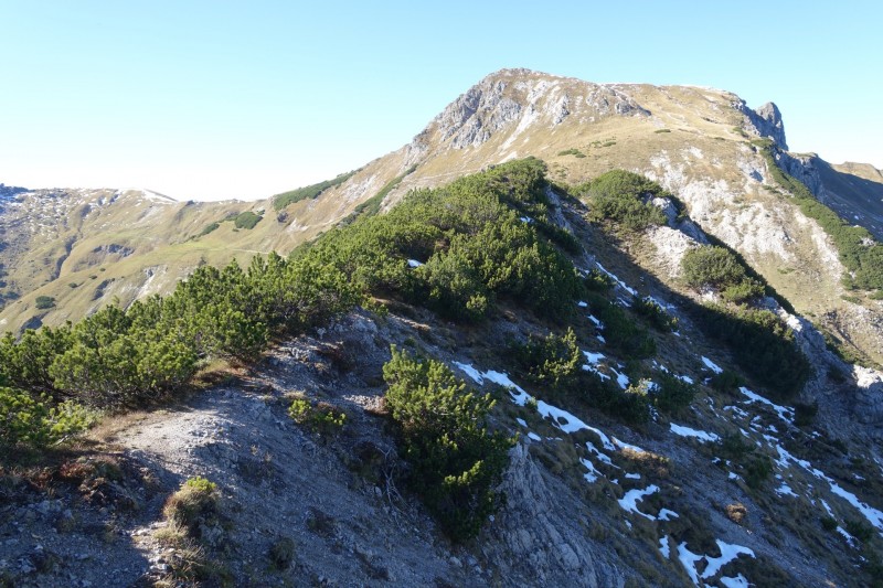Lochgehrenkopf - Lochgehrenspitze - Sulzspitze - Strindschartenkopf - Litnisschrofen - Krinnenspitze - Nesselwngle