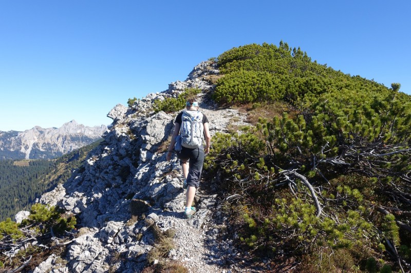Lochgehrenkopf - Lochgehrenspitze - Sulzspitze - Strindschartenkopf - Litnisschrofen - Krinnenspitze - Nesselwngle
