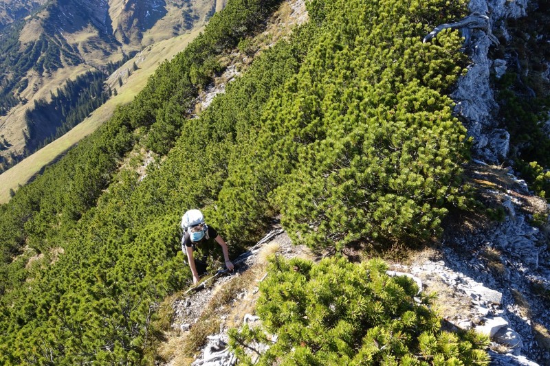 Lochgehrenkopf - Lochgehrenspitze - Sulzspitze - Strindschartenkopf - Litnisschrofen - Krinnenspitze - Nesselwngle