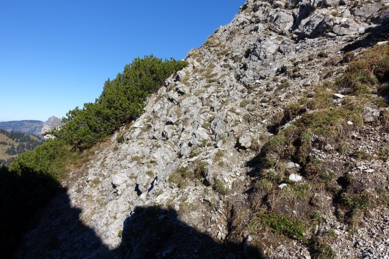 Lochgehrenkopf - Lochgehrenspitze - Sulzspitze - Strindschartenkopf - Litnisschrofen - Krinnenspitze - Nesselwngle