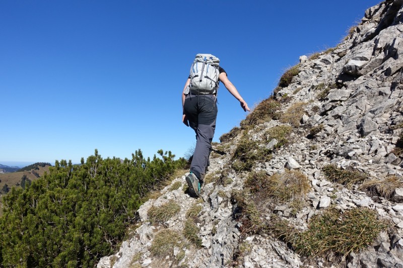 Lochgehrenkopf - Lochgehrenspitze - Sulzspitze - Strindschartenkopf - Litnisschrofen - Krinnenspitze - Nesselwngle