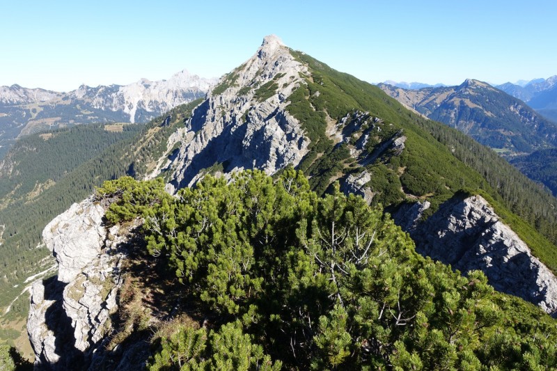Lochgehrenkopf - Lochgehrenspitze - Sulzspitze - Strindschartenkopf - Litnisschrofen - Krinnenspitze - Nesselwngle