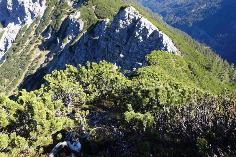 Lochgehrenkopf - Lochgehrenspitze - Sulzspitze - Strindschartenkopf - Litnisschrofen - Krinnenspitze - Nesselwngle